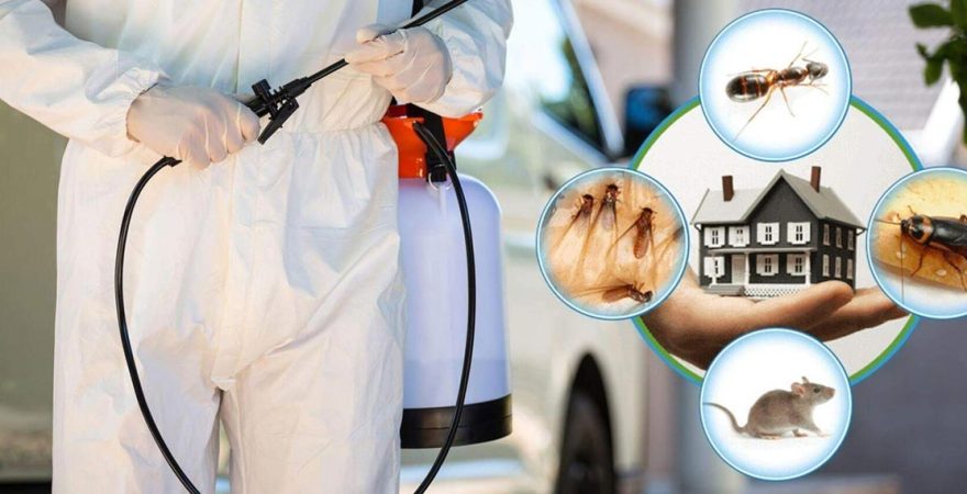 Bademler Böcek İlaçlama