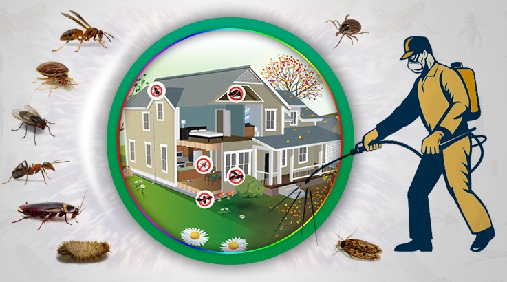 Bademler Böcek İlaçlama