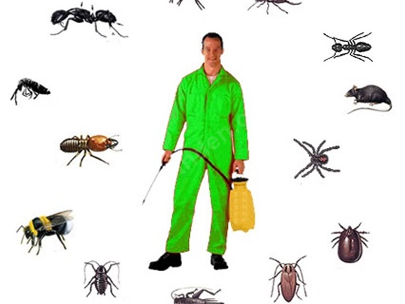 Bademler Böcek İlaçlama